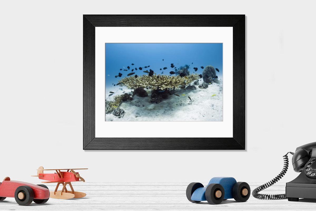 Shown hanging in a room: Modern 14"x12" (36x31cm)
