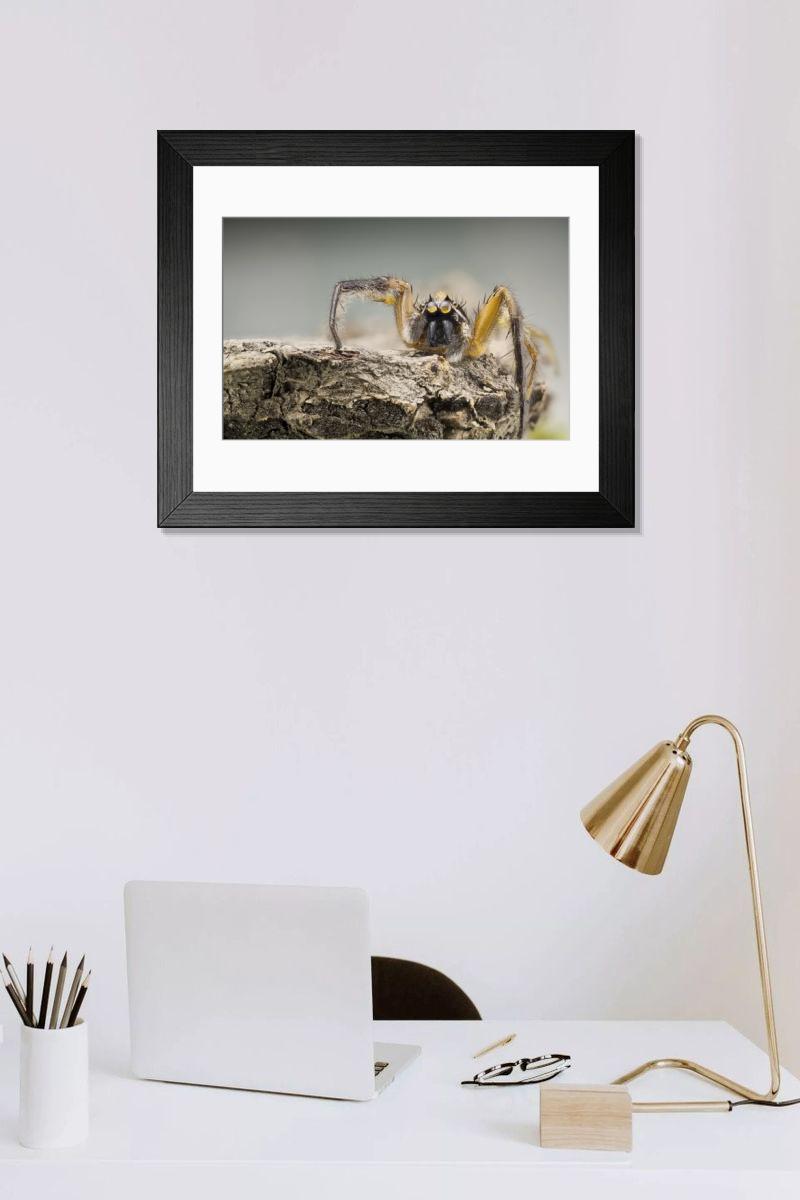 Shown hanging in a room: Modern 14"x12" (36x31cm)