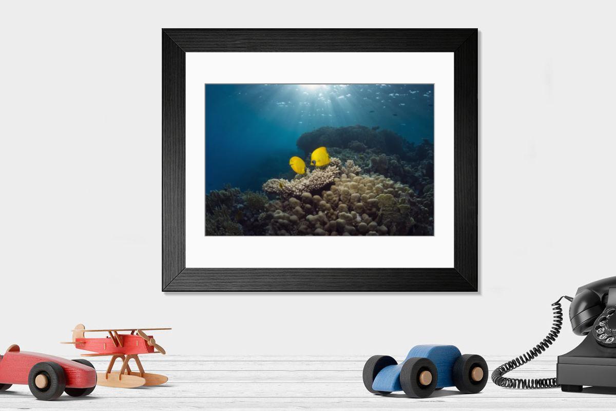 Shown hanging in a room: Modern 14"x12" (36x31cm)