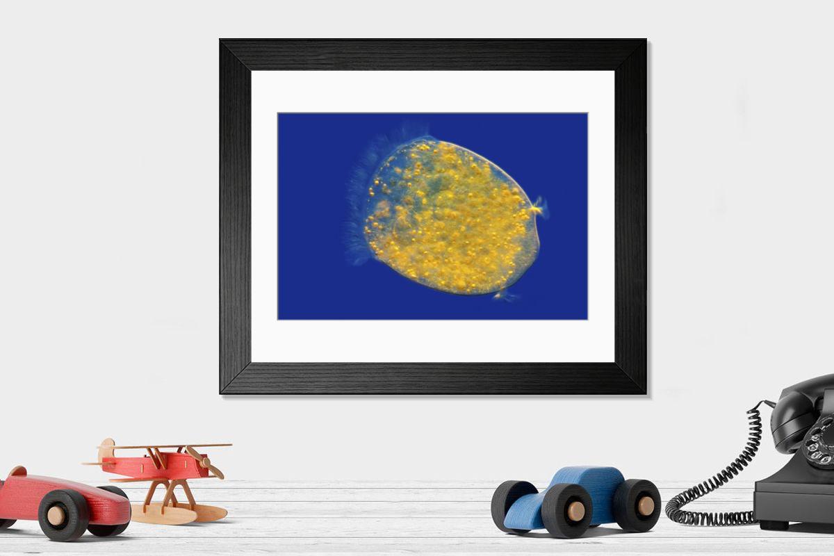 Shown hanging in a room: Modern 14"x12" (36x31cm)