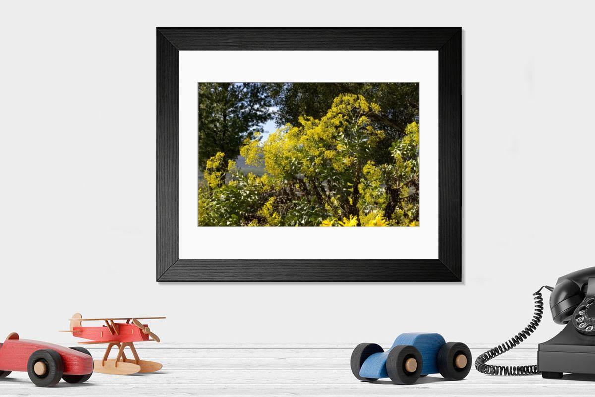 Shown hanging in a room: Modern 14"x12" (36x31cm)