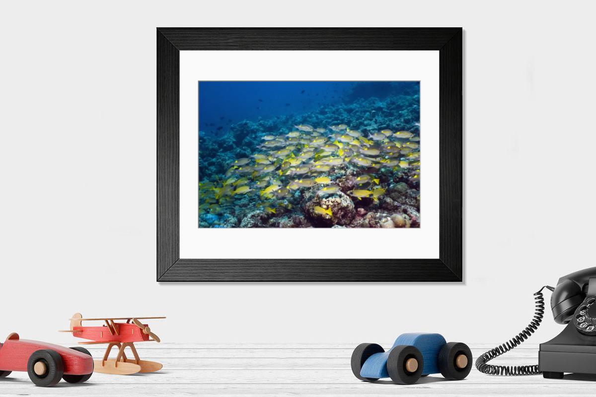 Shown hanging in a room: Modern 14"x12" (36x31cm)