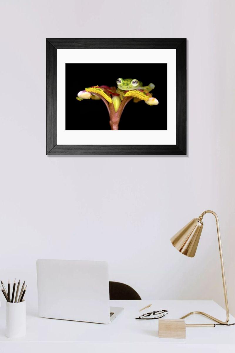 Shown hanging in a room: Modern 14"x12" (36x31cm)