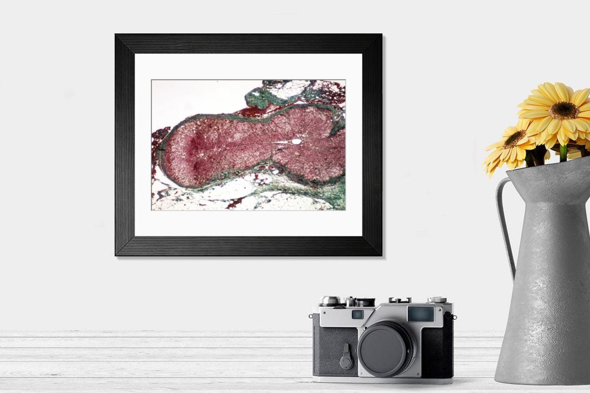 Shown hanging in a room: Modern 14"x12" (36x31cm)