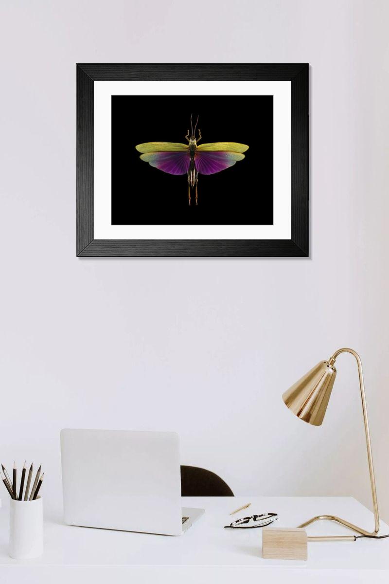 Shown hanging in a room: Modern 14"x12" (36x31cm)