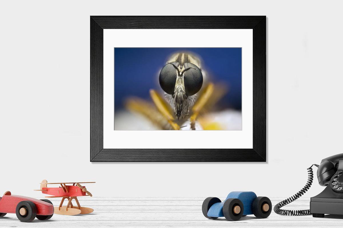 Shown hanging in a room: Modern 14"x12" (36x31cm)