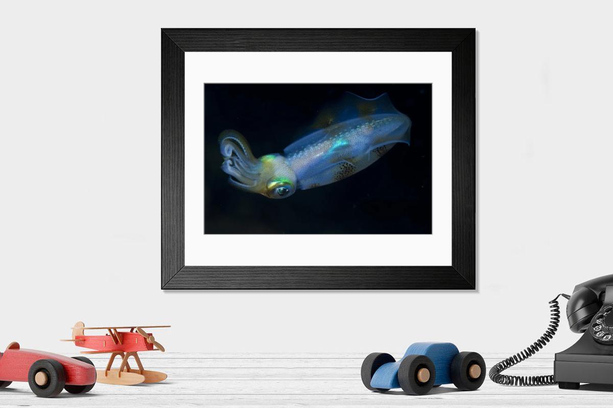 Shown hanging in a room: Modern 14"x12" (36x31cm)