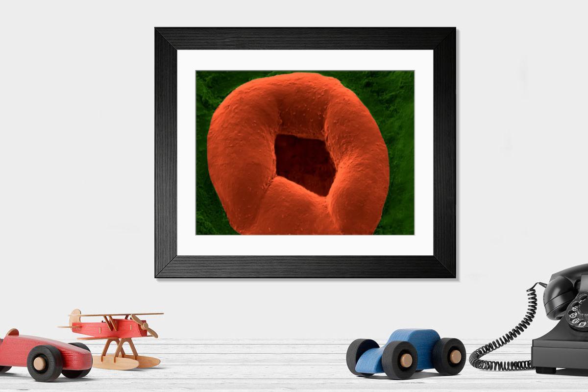 Shown hanging in a room: Modern 14"x12" (36x31cm)