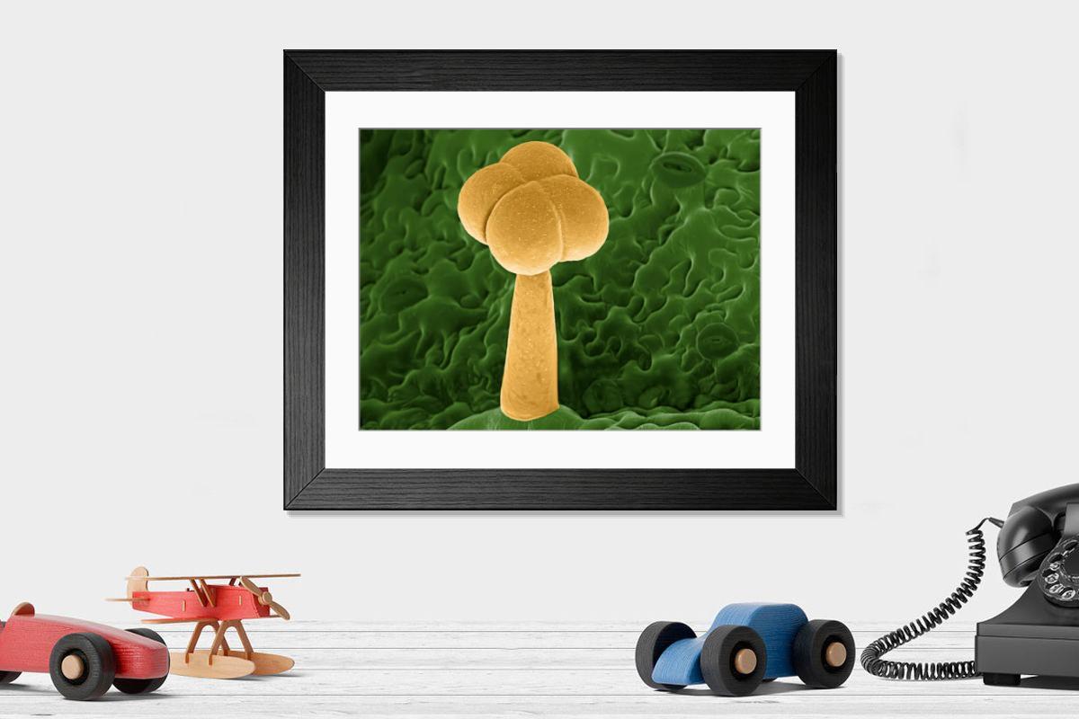 Shown hanging in a room: Modern 14"x12" (36x31cm)