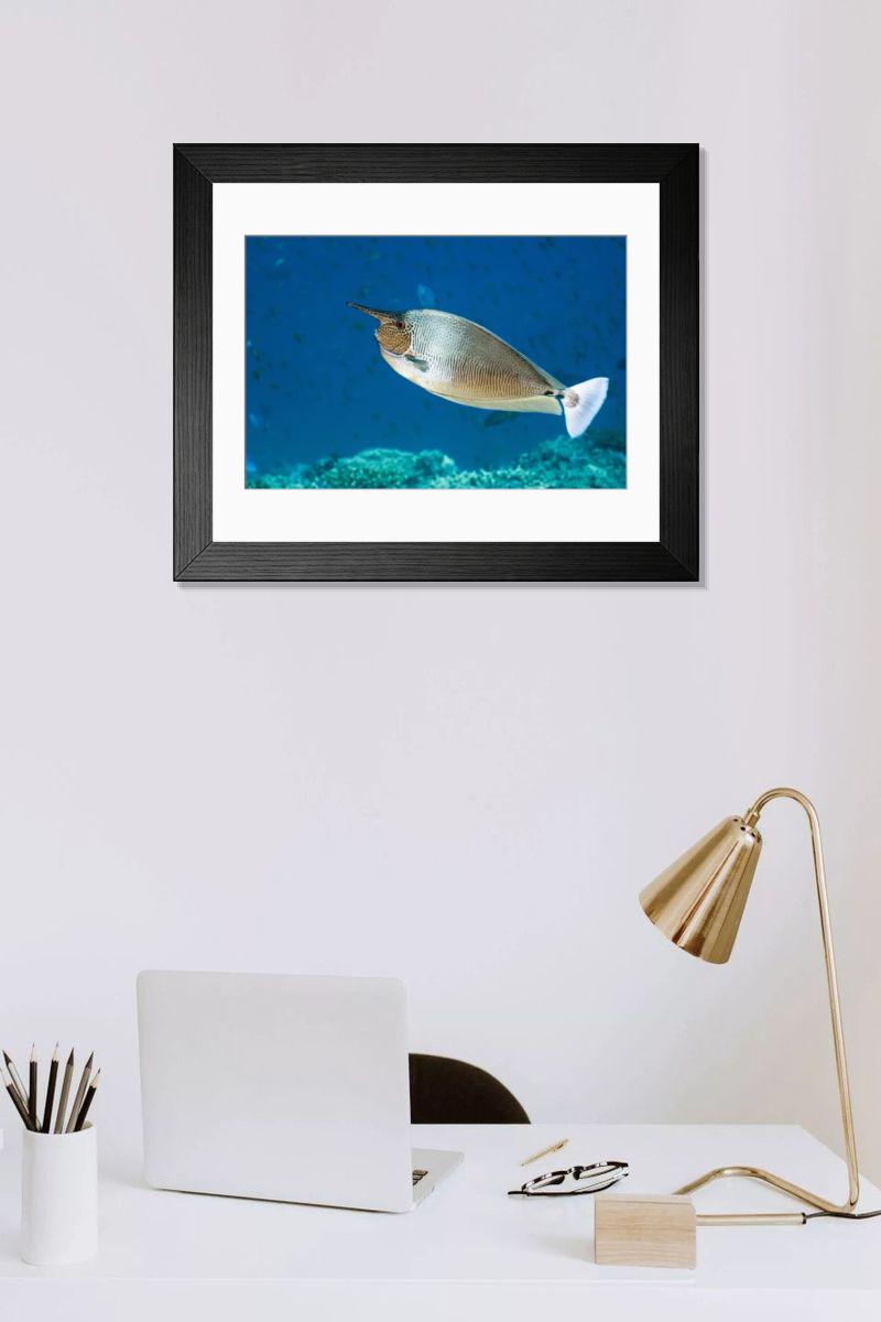 Shown hanging in a room: Modern 14"x12" (36x31cm)