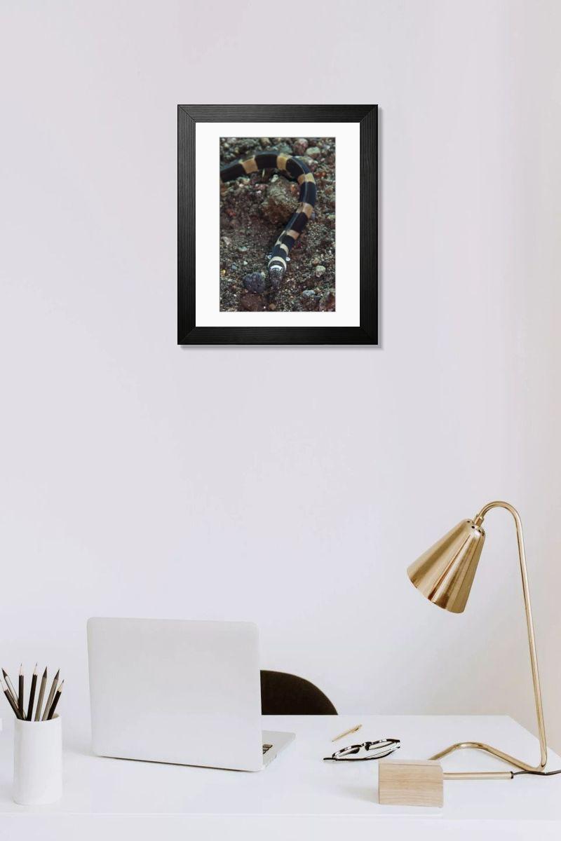 Shown hanging in a room: Modern 14"x12" (36x31cm)