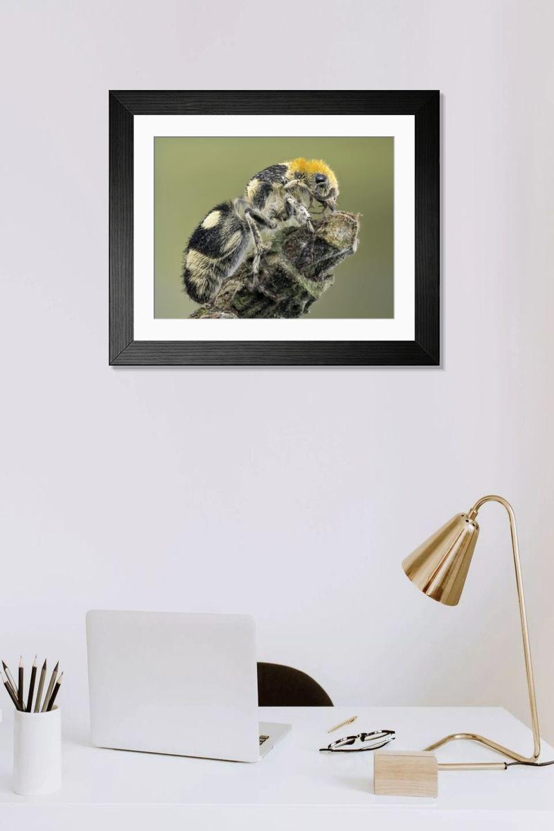 Shown hanging in a room: Modern 14"x12" (36x31cm)