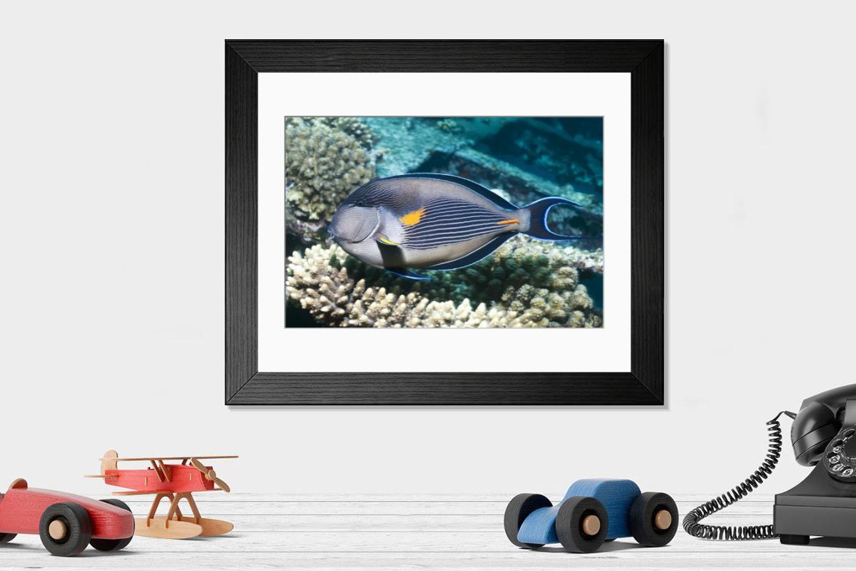 Shown hanging in a room: Modern 14"x12" (36x31cm)