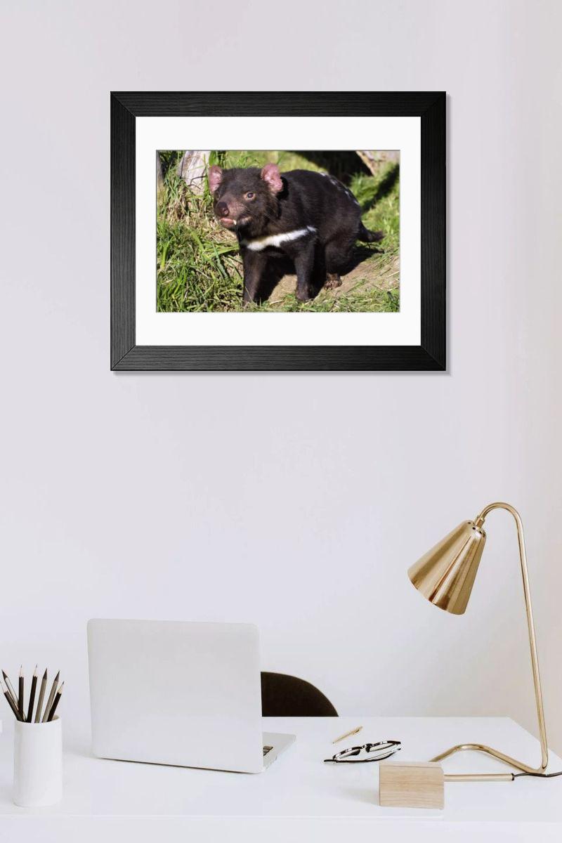 Shown hanging in a room: Modern 14"x12" (36x31cm)
