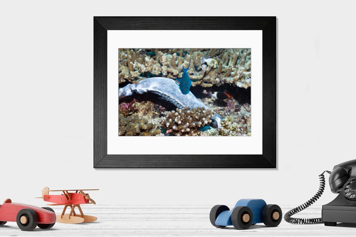 Shown hanging in a room: Modern 14"x12" (36x31cm)