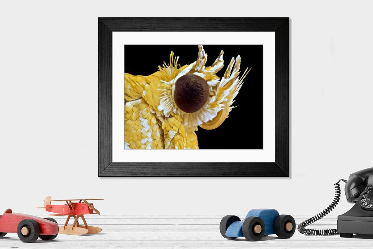 Shown hanging in a room: Modern 14"x12" (36x31cm)