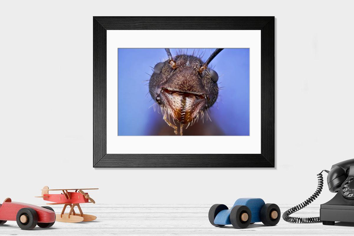 Shown hanging in a room: Modern 14"x12" (36x31cm)