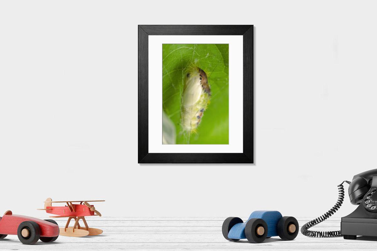 Shown hanging in a room: Modern 14"x12" (36x31cm)