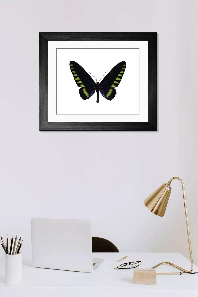 Shown hanging in a room: Modern 14"x12" (36x31cm)