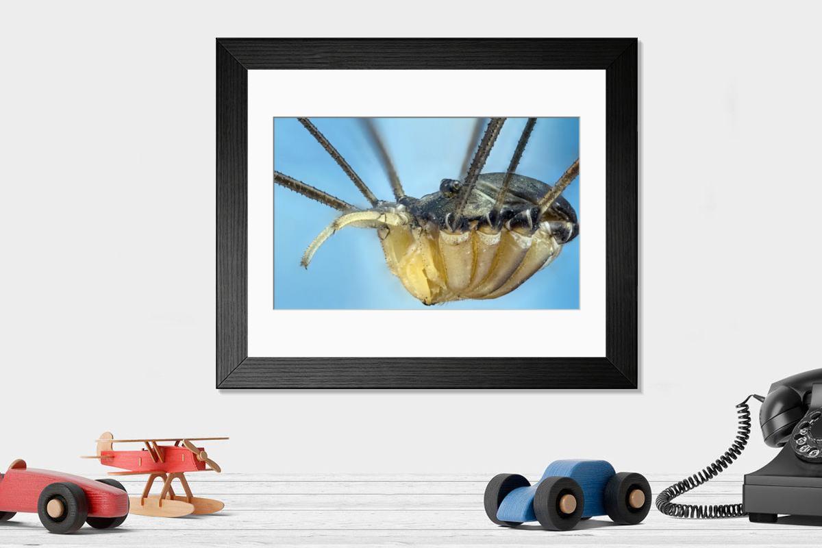 Shown hanging in a room: Modern 14"x12" (36x31cm)