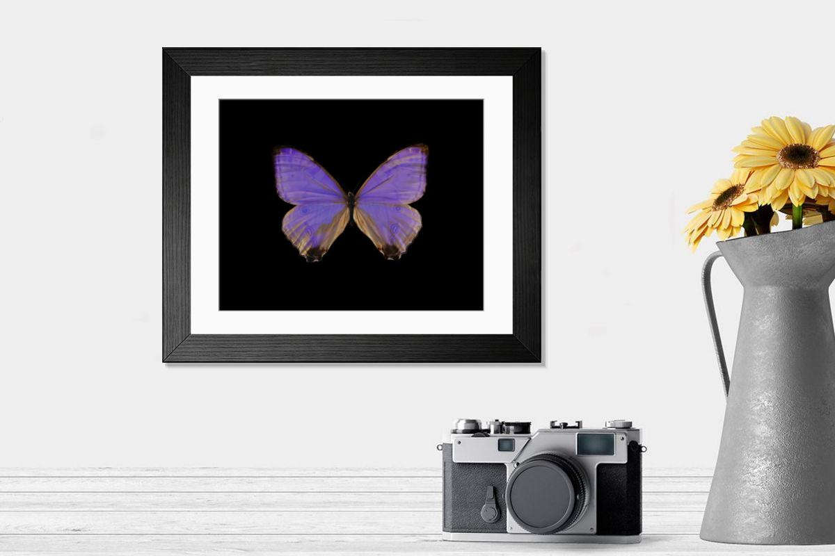 Shown hanging in a room: Modern 14"x12" (36x31cm)
