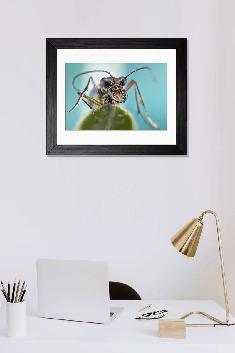 Shown hanging in a room: Modern 14"x12" (36x31cm)