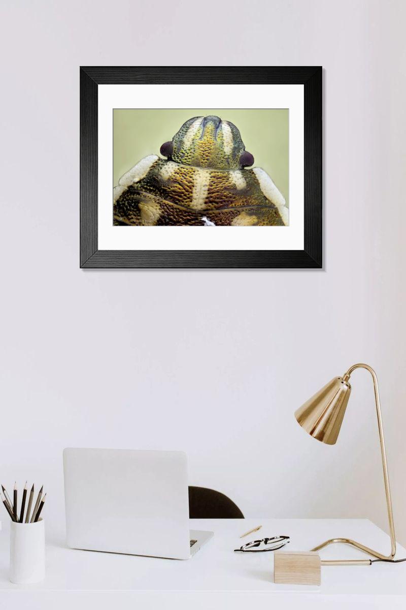 Shown hanging in a room: Modern 14"x12" (36x31cm)