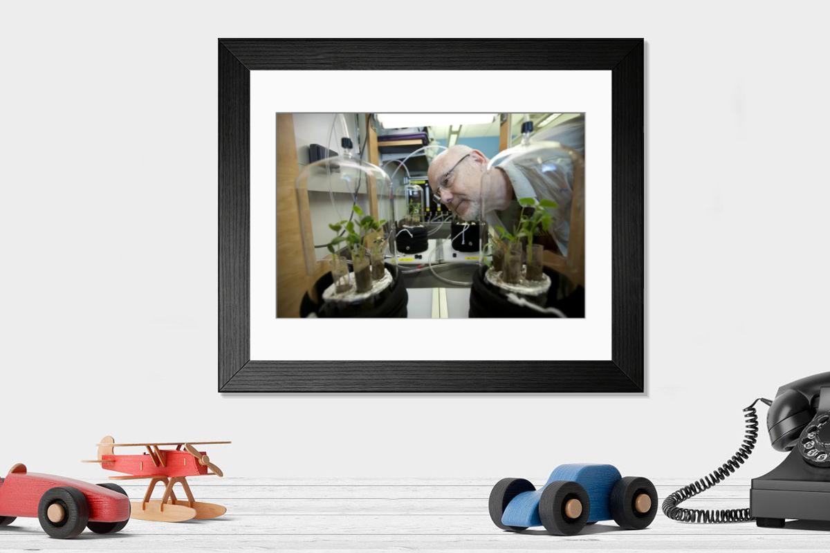 Shown hanging in a room: Modern 14"x12" (36x31cm)