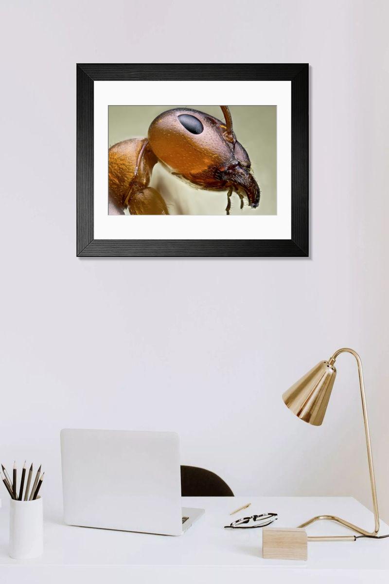 Shown hanging in a room: Modern 14"x12" (36x31cm)