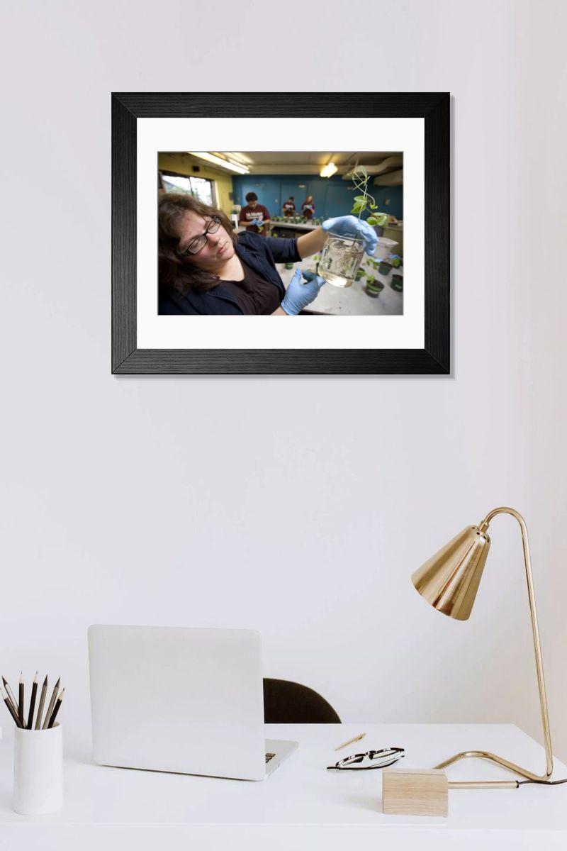 Shown hanging in a room: Modern 14"x12" (36x31cm)