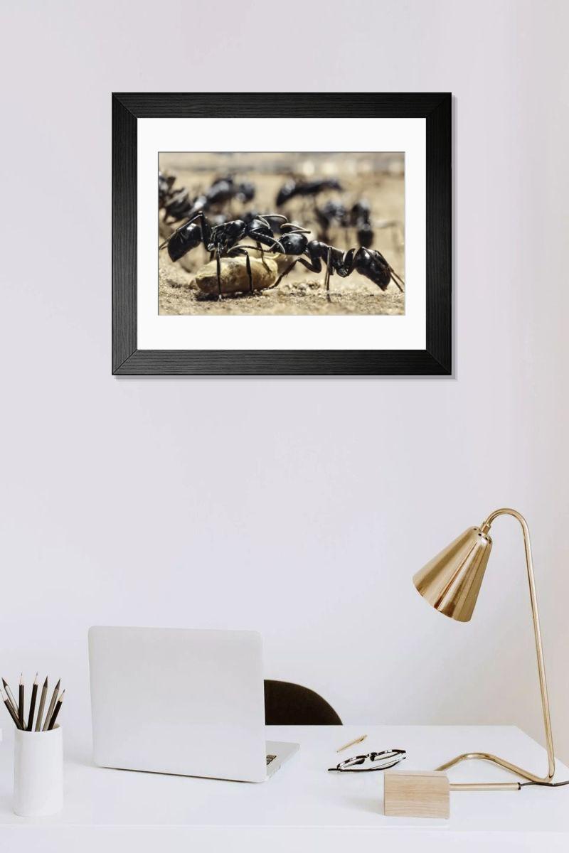 Shown hanging in a room: Modern 14"x12" (36x31cm)