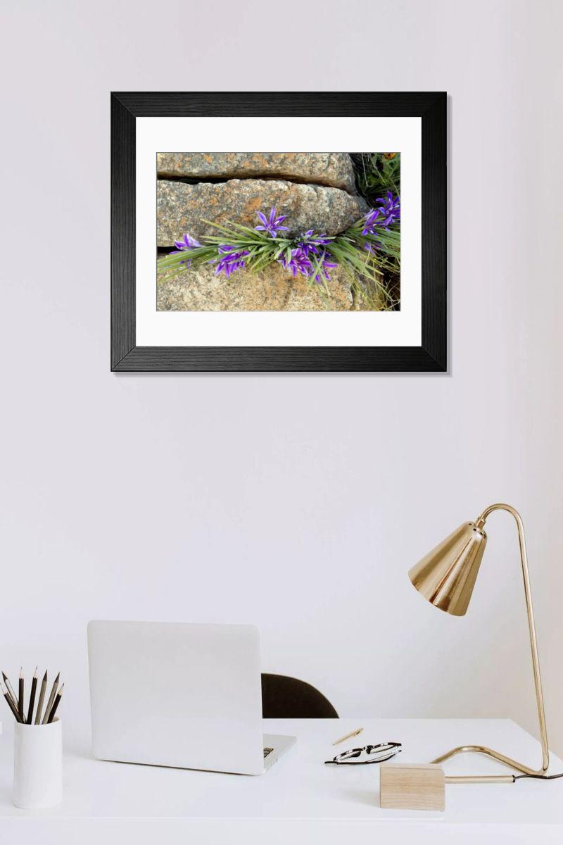 Shown hanging in a room: Modern 14"x12" (36x31cm)