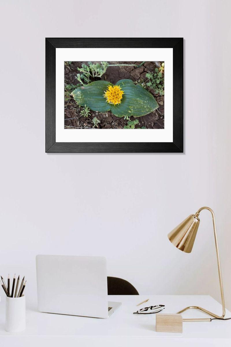 Shown hanging in a room: Modern 14"x12" (36x31cm)