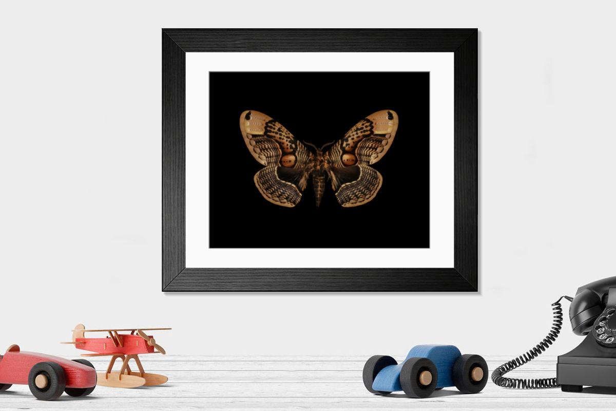 Shown hanging in a room: Modern 14"x12" (36x31cm)
