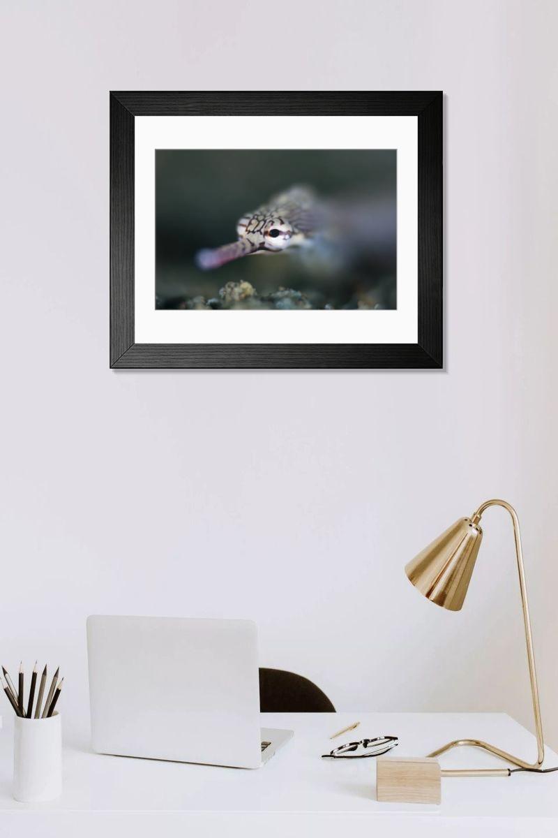 Shown hanging in a room: Modern 14"x12" (36x31cm)