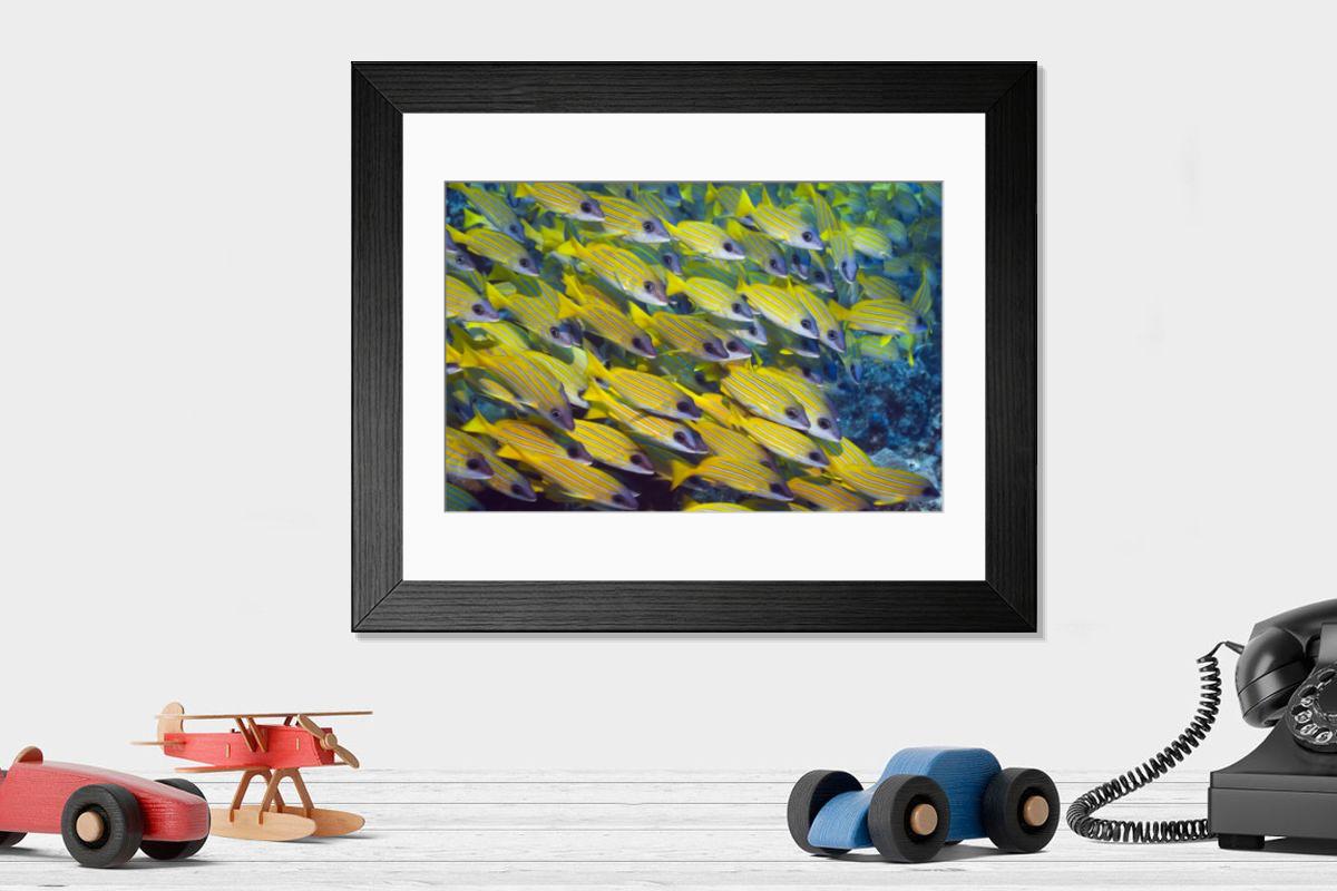 Shown hanging in a room: Modern 14"x12" (36x31cm)
