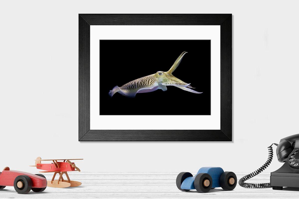 Shown hanging in a room: Modern 14"x12" (36x31cm)