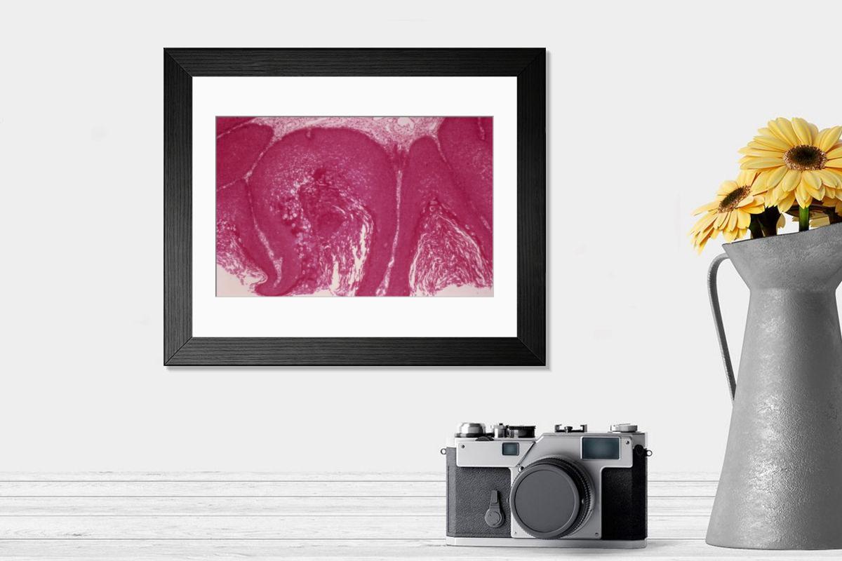 Shown hanging in a room: Modern 14"x12" (36x31cm)