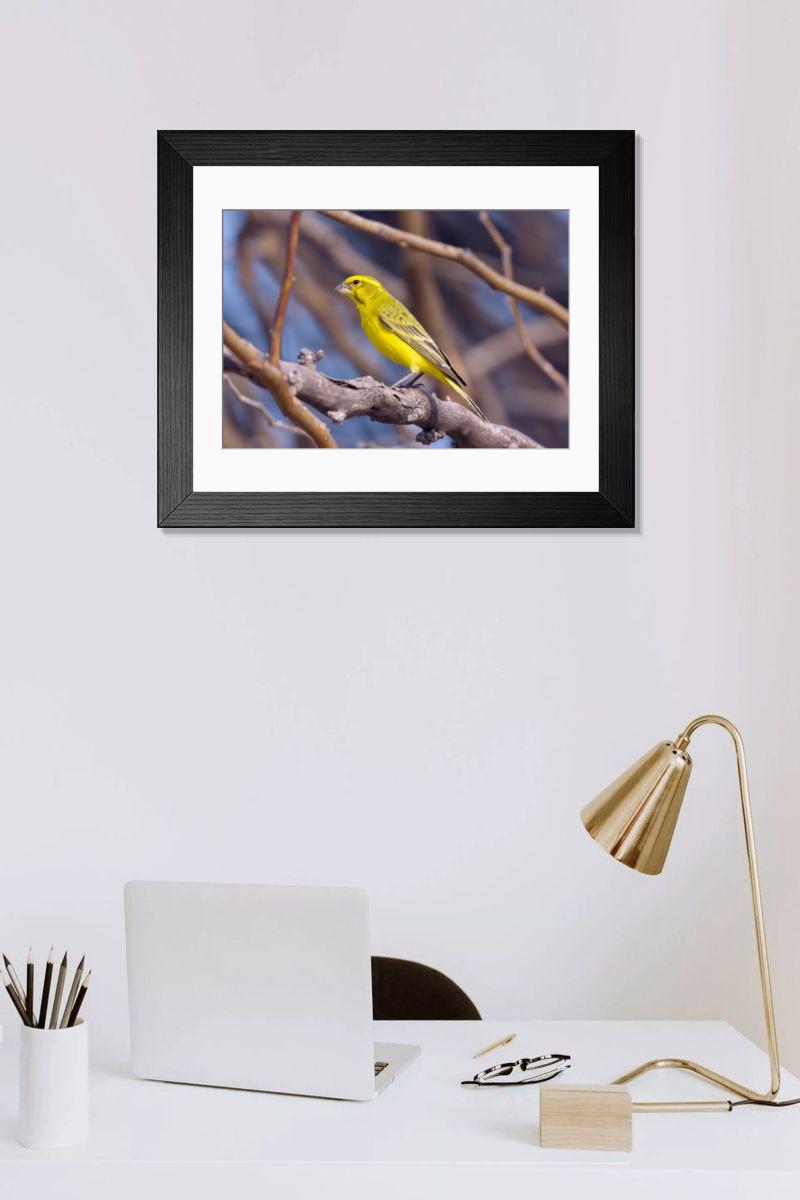 Shown hanging in a room: Modern 14"x12" (36x31cm)