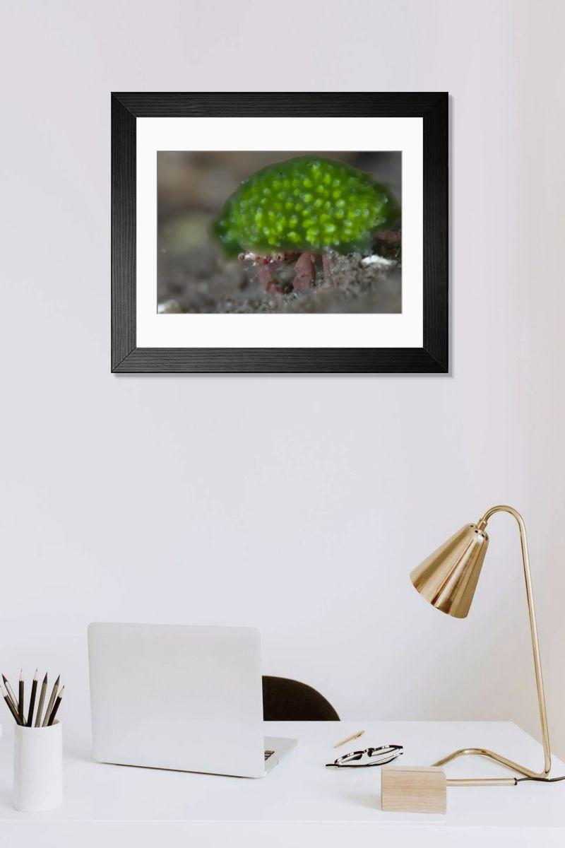 Shown hanging in a room: Modern 14"x12" (36x31cm)