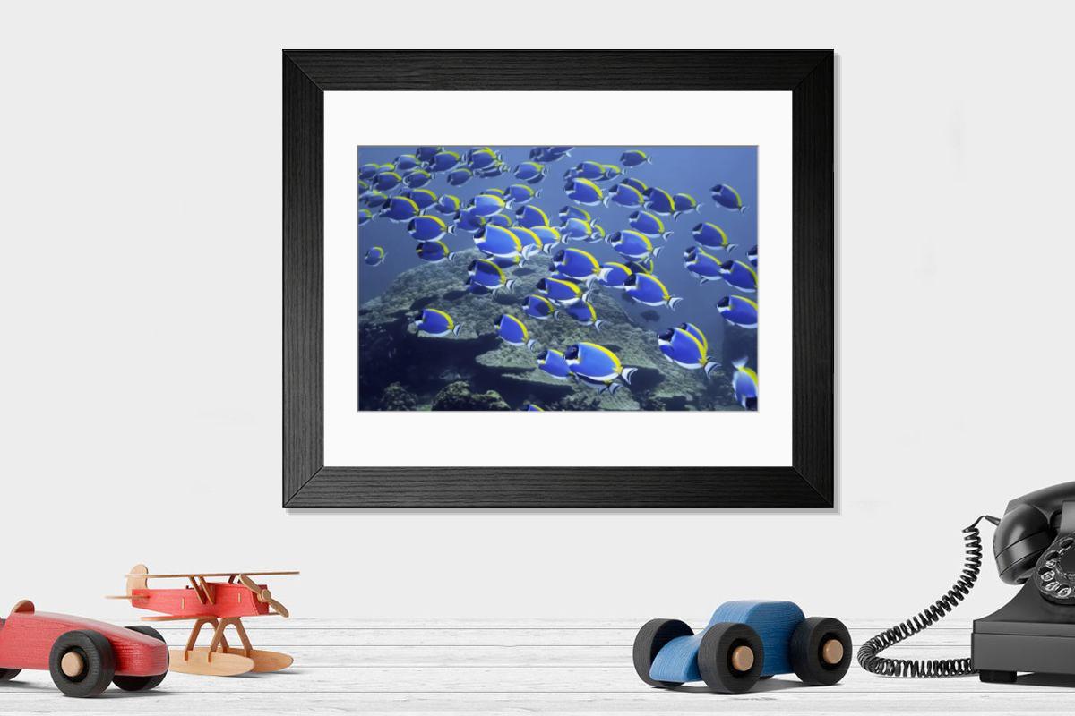 Shown hanging in a room: Modern 14"x12" (36x31cm)