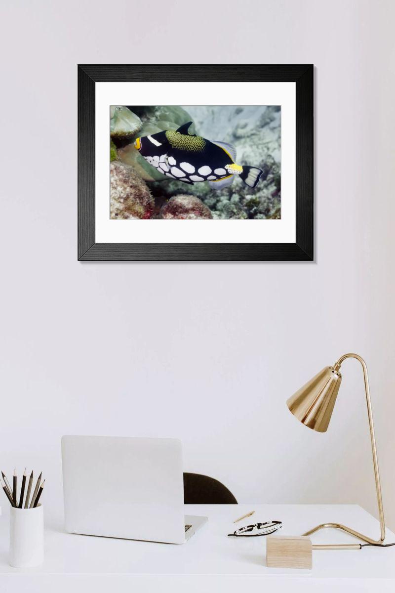 Shown hanging in a room: Modern 14"x12" (36x31cm)