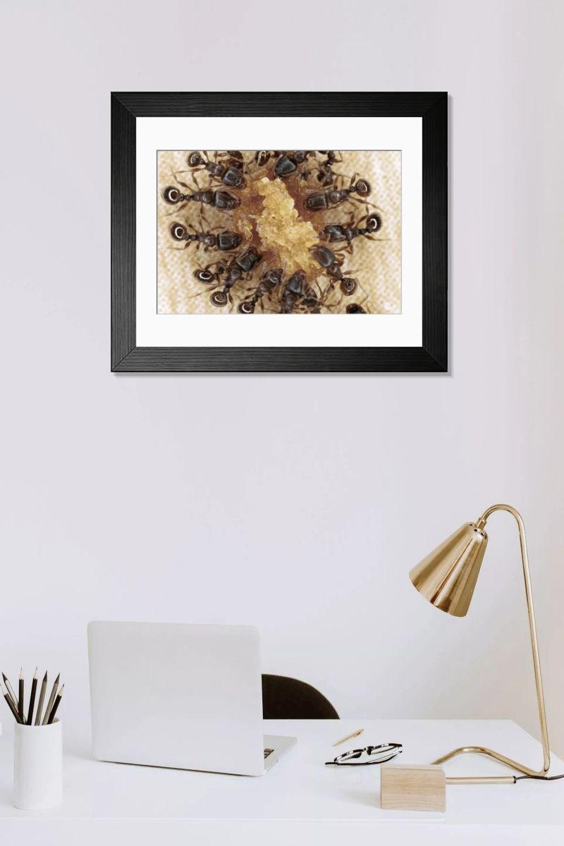 Shown hanging in a room: Modern 14"x12" (36x31cm)