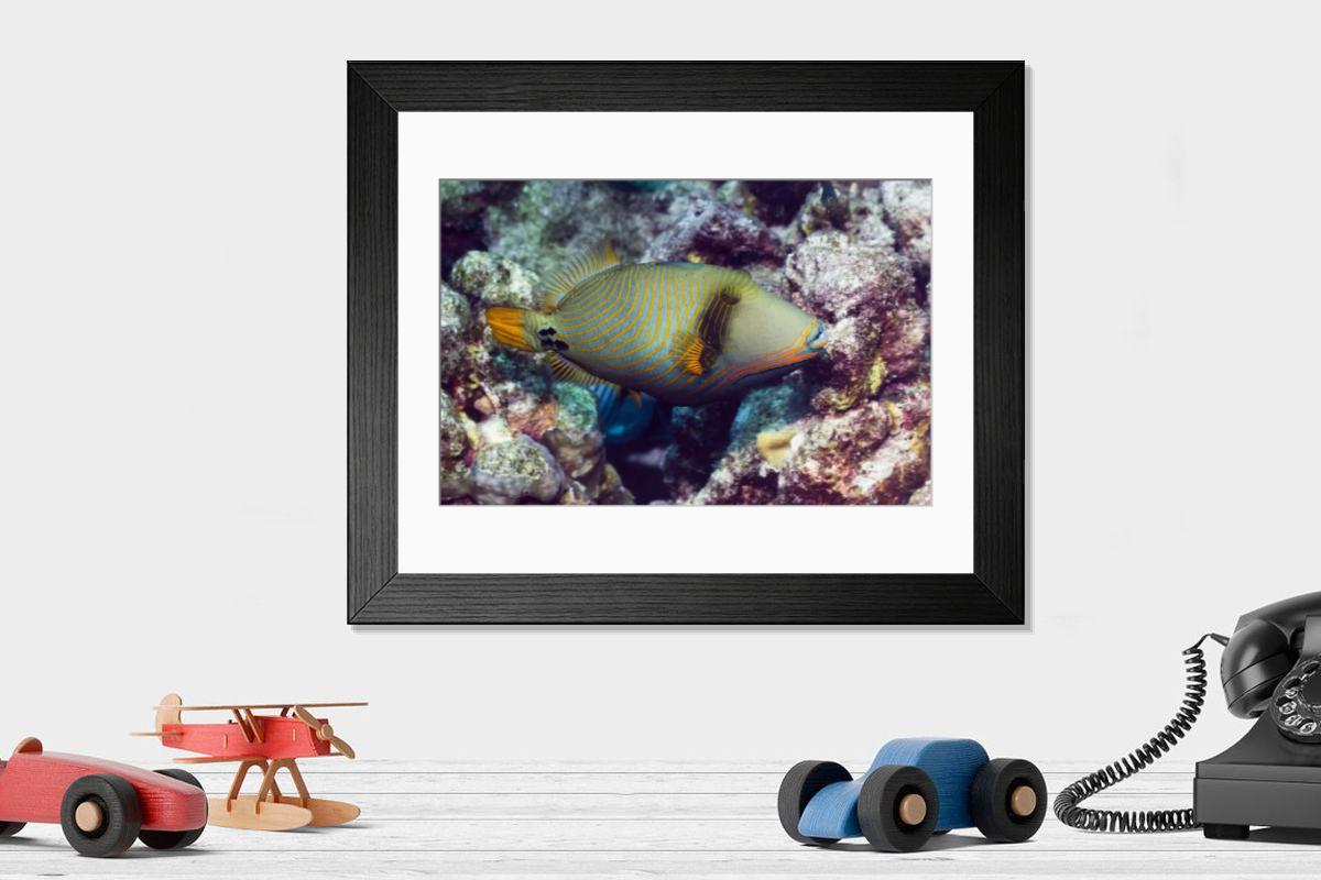 Shown hanging in a room: Modern 14"x12" (36x31cm)