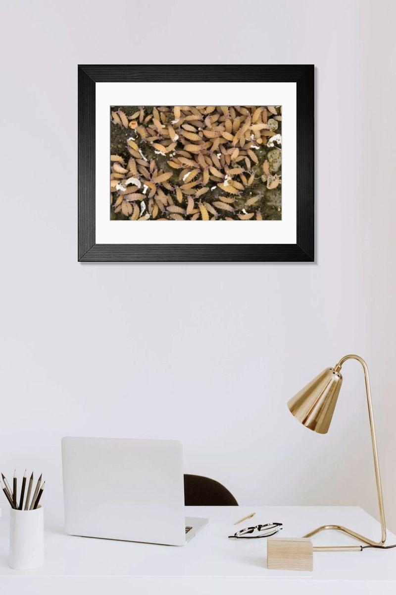 Shown hanging in a room: Modern 14"x12" (36x31cm)