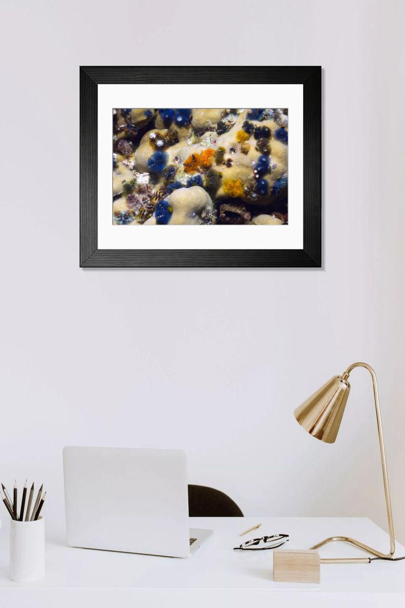 Shown hanging in a room: Modern 14"x12" (36x31cm)