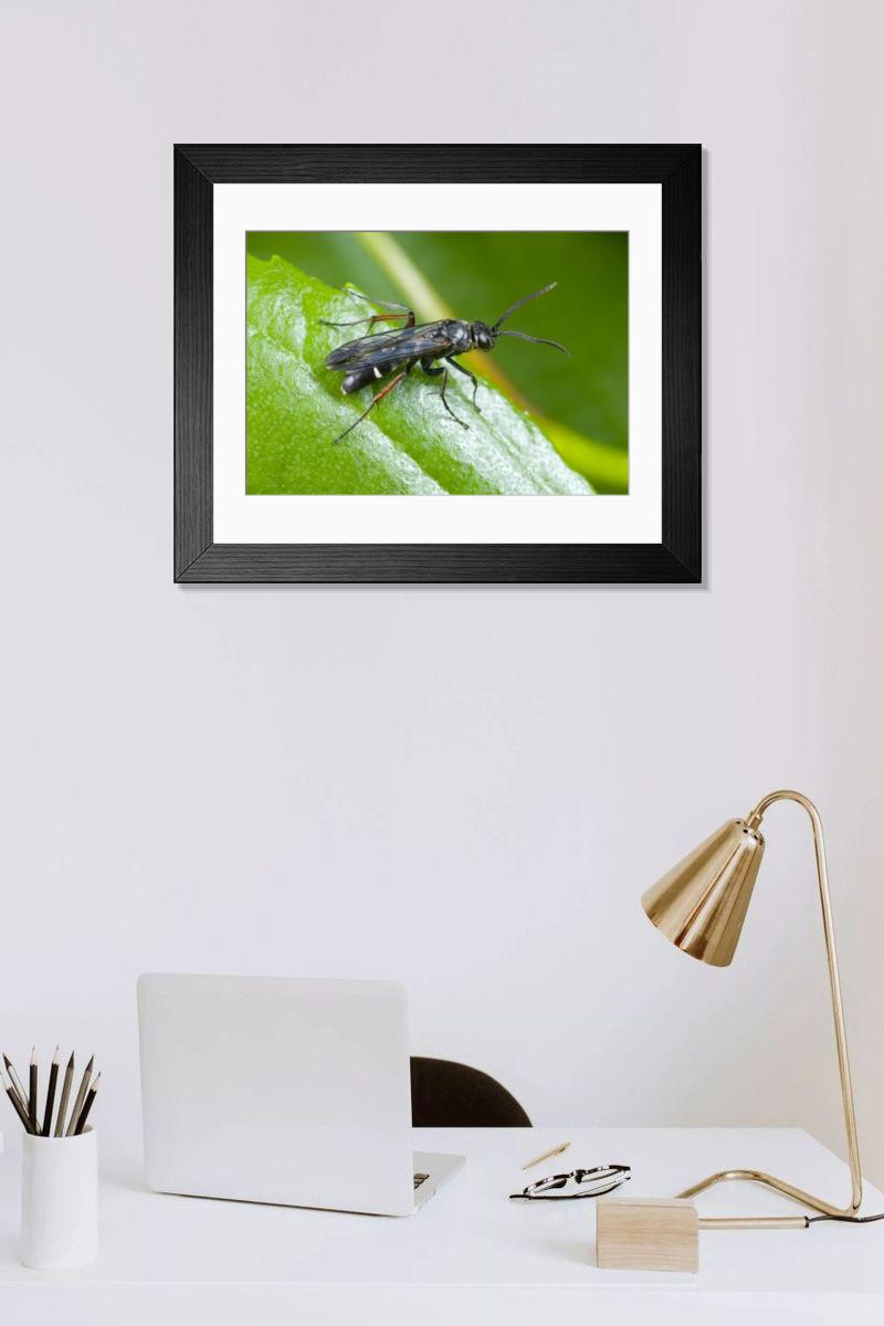 Shown hanging in a room: Modern 14"x12" (36x31cm)