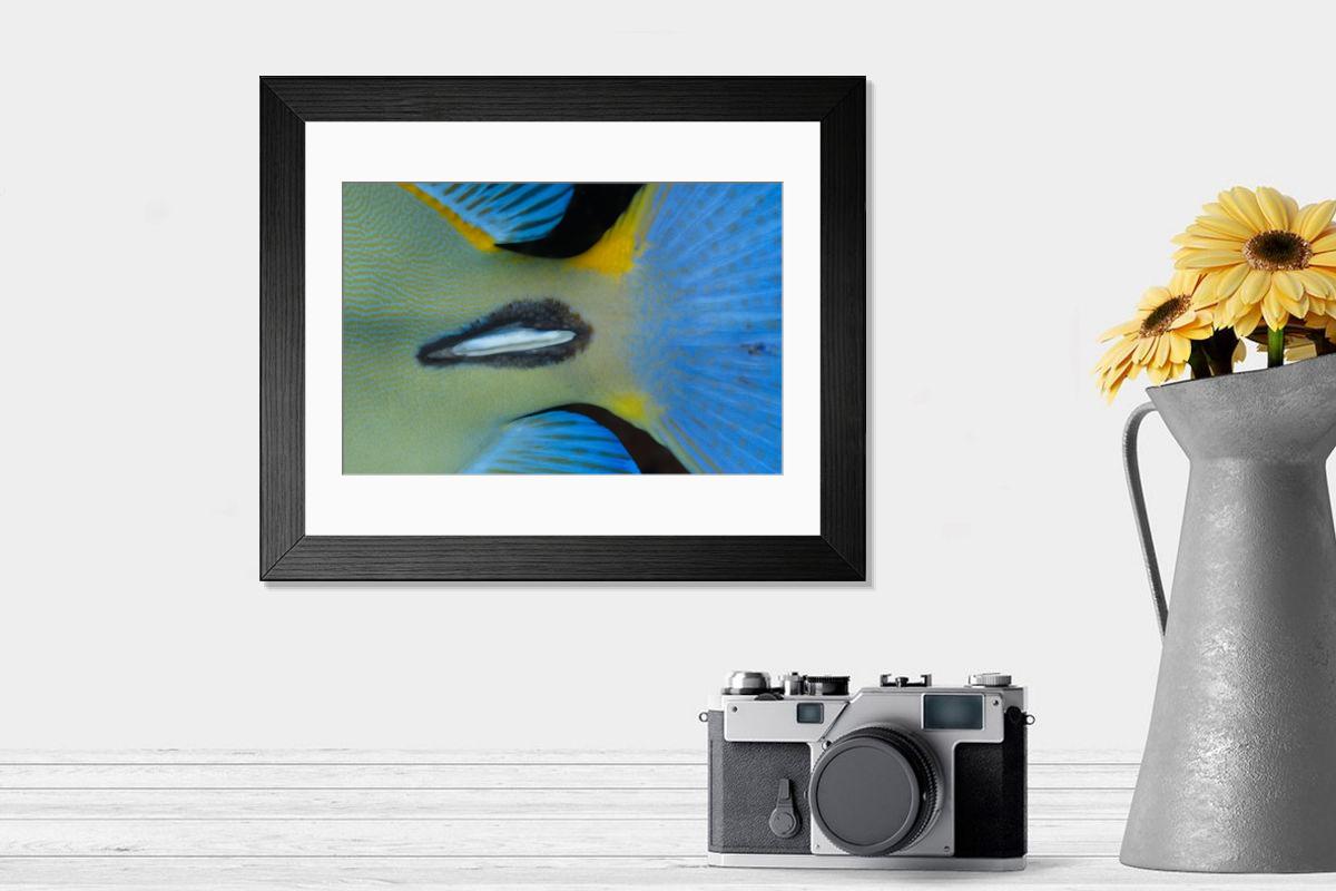 Shown hanging in a room: Modern 14"x12" (36x31cm)