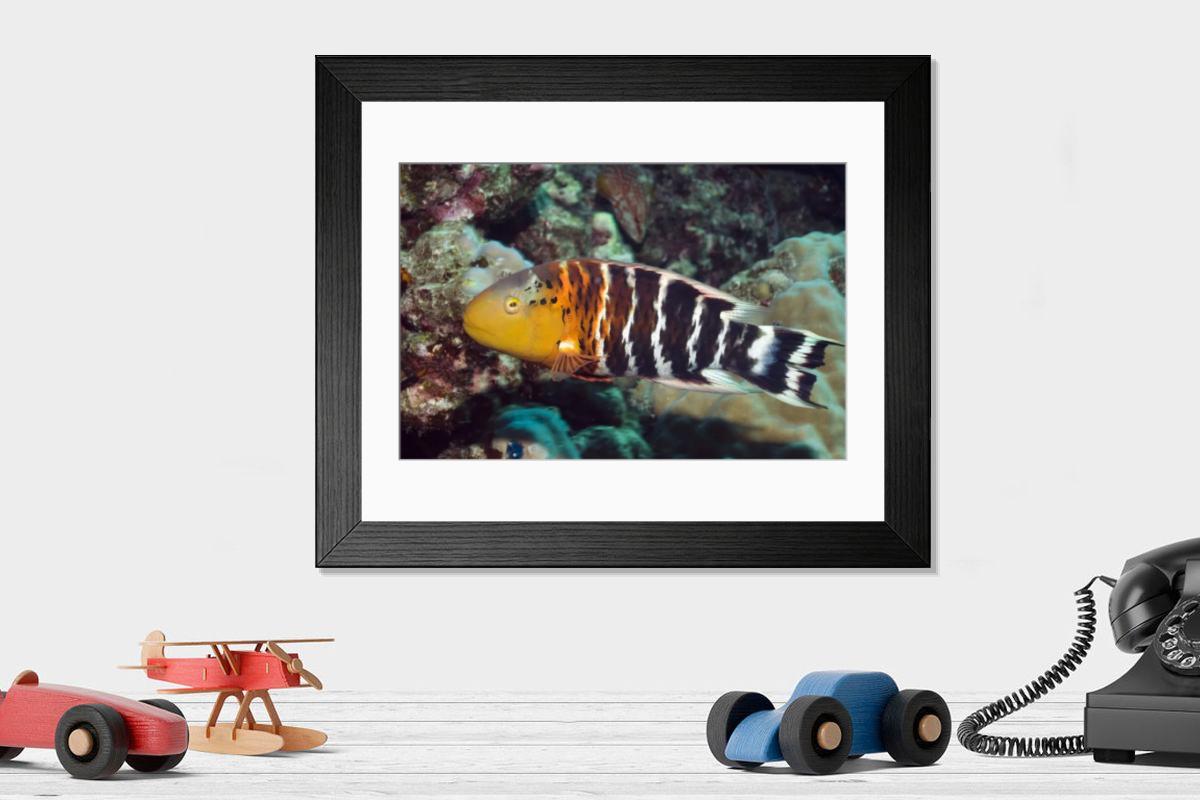 Shown hanging in a room: Modern 14"x12" (36x31cm)