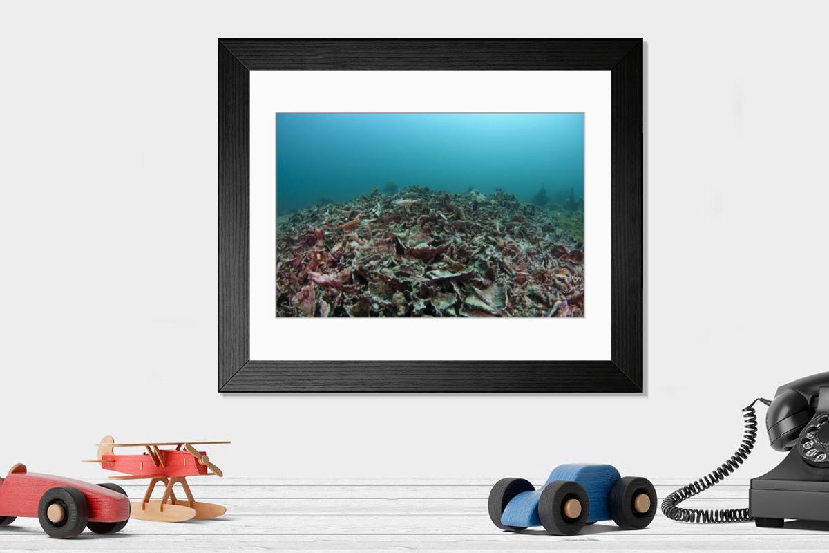 Shown hanging in a room: Modern 14"x12" (36x31cm)